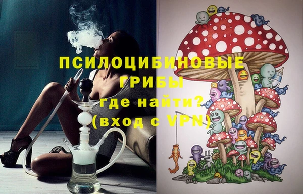 герыч Арсеньев