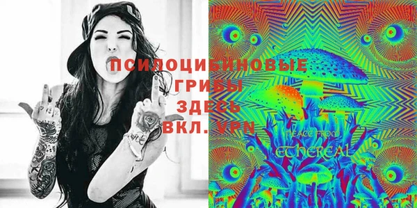 герыч Арсеньев