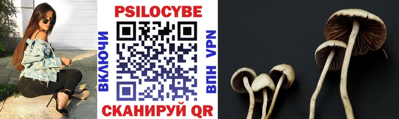 hydra ONION  Ростов  Галлюциногенные грибы мицелий 